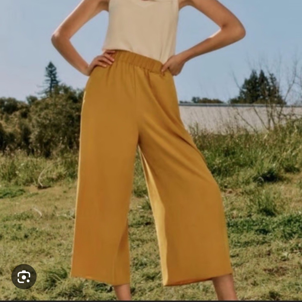 Cuyana Linen Pull on pants size large color honey wide leg